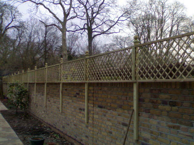 Standard Diamond Mesh Trellis Kept in stock 